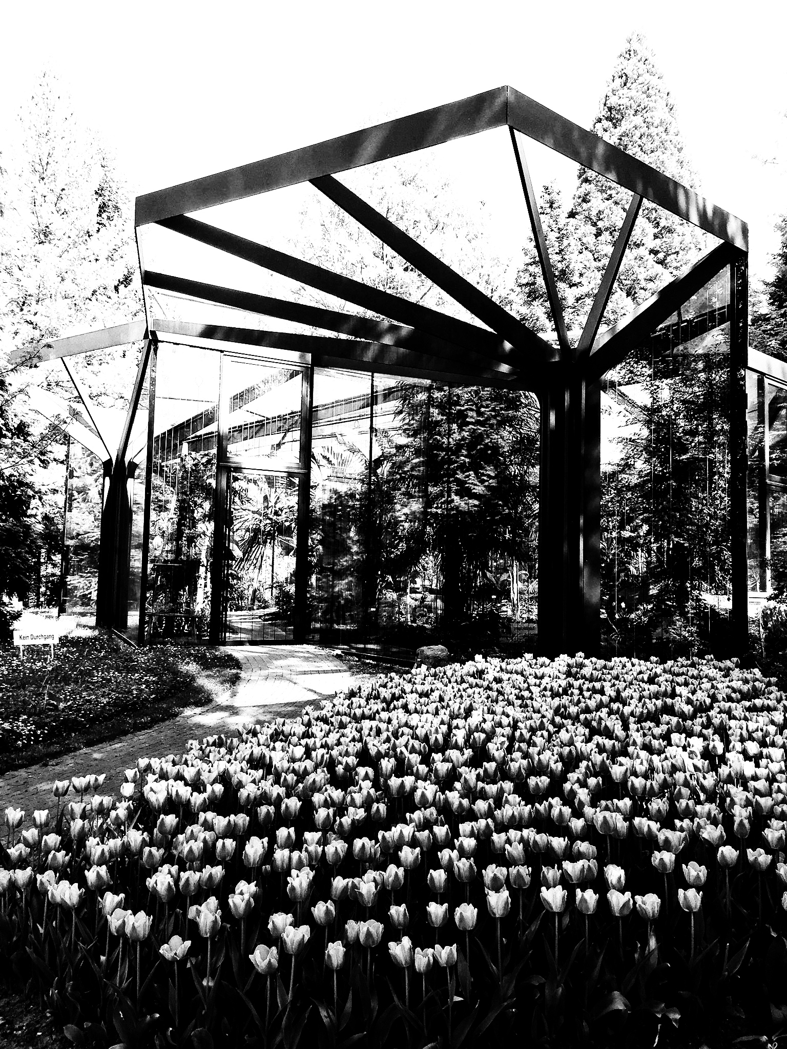 Sketching at Botanischer Garten Grüningen (ZH)